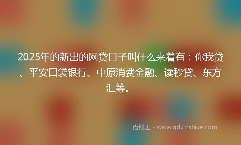 2025年的新出的网贷口子叫什么来着有：你我贷、平安口袋银行、中原消费金融、读秒贷、东方汇等。