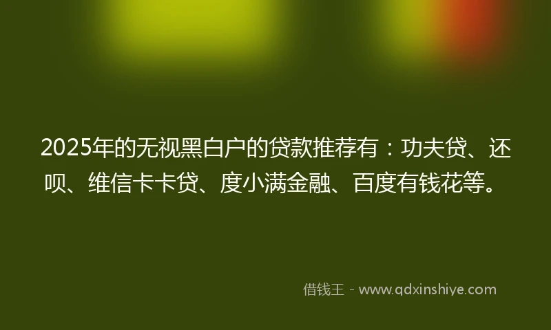2025年的无视黑白户的贷款推荐有:功夫贷、还呗、维信卡卡贷、度小满金融、百度有钱花等。