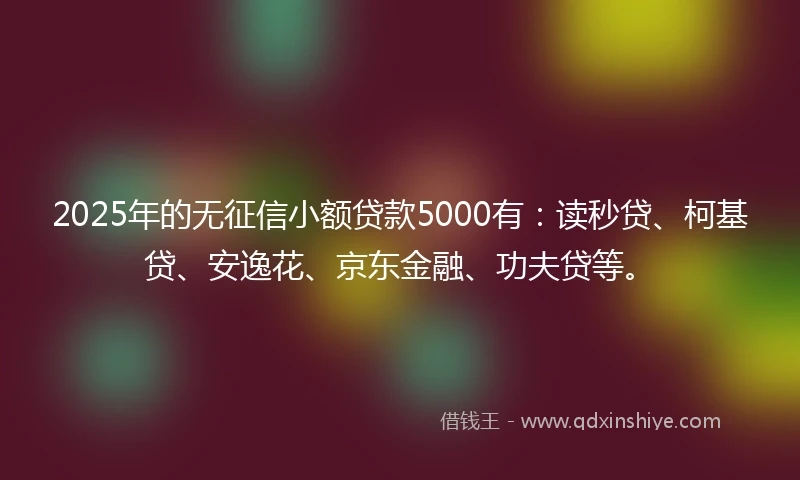 2025年的无征信小额贷款5000有：读秒贷、柯基贷、安逸花、京东金融、功夫贷等。