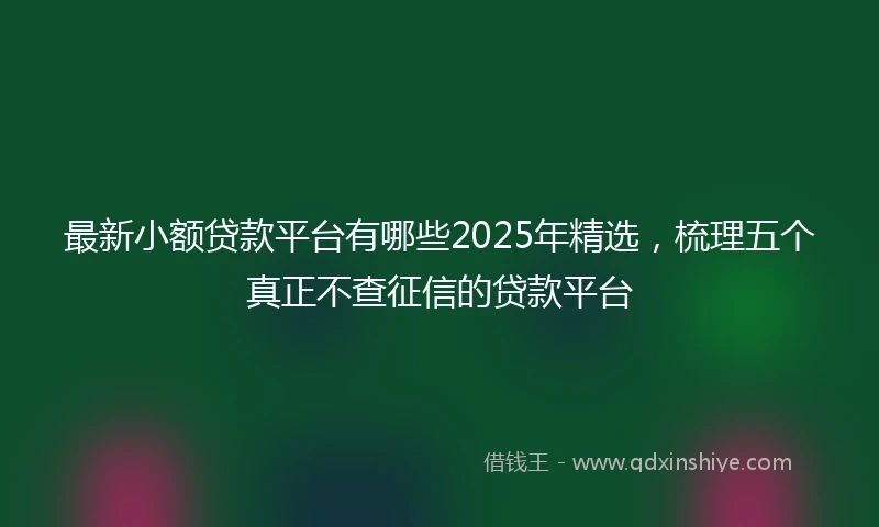 最新小额贷款平台有哪些2025年精选,梳理五个真正不查征信的贷款平台