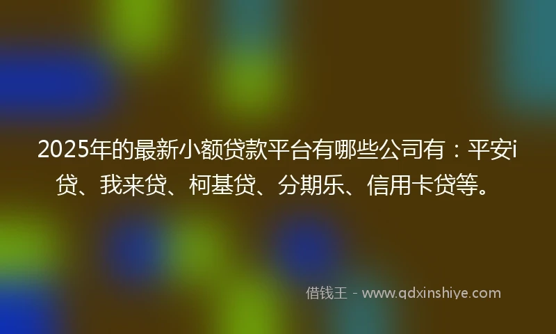 2025年的最新小额贷款平台有哪些公司有：平安i贷、我来贷、柯基贷、分期乐、信用卡贷等。