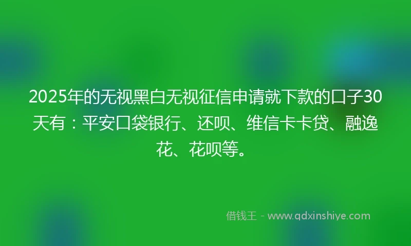 2025年的无视黑白无视征信申请就下款的口子30天有：平安口袋银行、还呗、维信卡卡贷、融逸花、花呗等。