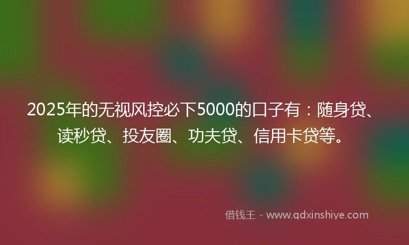 2025年的无视风控必下5000的口子有：随身贷、读秒贷、投友圈、功夫贷、信用卡贷等。