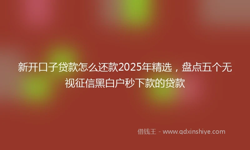 新开口子贷款怎么还款2025年精选，盘点五个无视征信黑白户秒下款的贷款