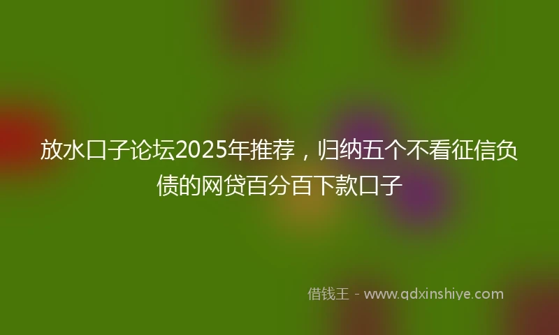 放水口子论坛2025年推荐，归纳五个不看征信负债的网贷百分百下款口子