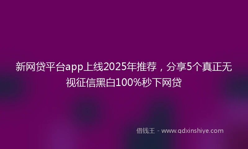 新网贷平台app上线2025年推荐，分享5个真正无视征信黑白100%秒下网贷