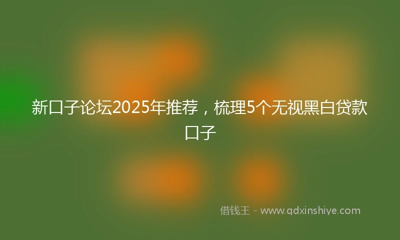 新口子论坛2025年推荐，梳理5个无视黑白贷款口子