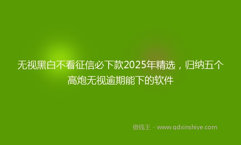 无视黑白不看征信必下款2025年精选，归纳五个高炮无视逾期能下的软件