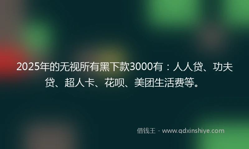 2025年的无视所有黑下款3000有：人人贷、功夫贷、超人卡、花呗、美团生活费等。