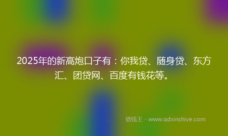 2025年的新高炮口子有：你我贷、随身贷、东方汇、团贷网、百度有钱花等。