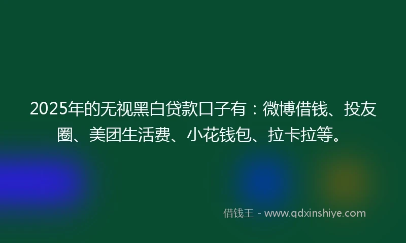 2025年的无视黑白贷款口子有：微博借钱、投友圈、美团生活费、小花钱包、拉卡拉等。
