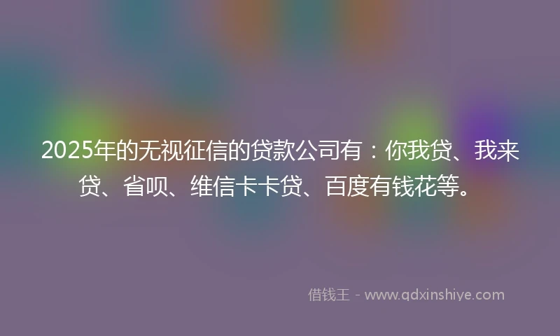 2025年的无视征信的贷款公司有：你我贷、我来贷、省呗、维信卡卡贷、百度有钱花等。