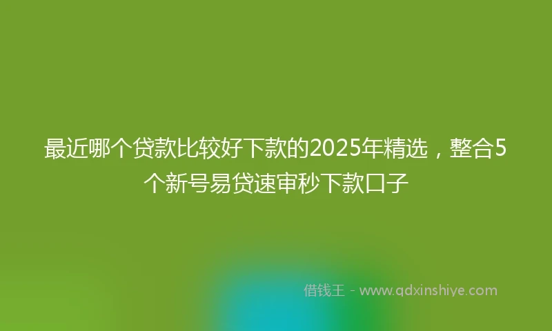 最近哪个贷款比较好下款的2025年精选，整合5个新号易贷速审秒下款口子