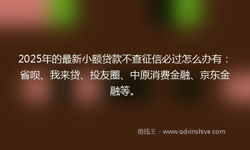 2025年的最新小额贷款不查征信必过怎么办有：省呗、我来贷、投友圈、中原消费金融、京东金融等。