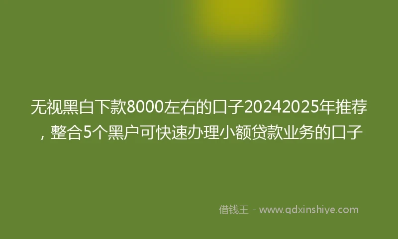 无视黑白下款8000左右的口子20242025年推荐,整合5个黑户可快速办理小额贷款业务的口子