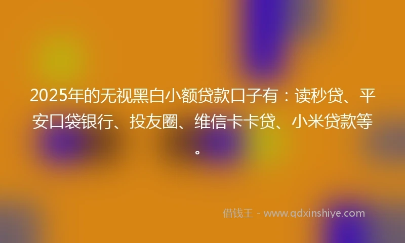 2025年的无视黑白小额贷款口子有：读秒贷、平安口袋银行、投友圈、维信卡卡贷、小米贷款等。