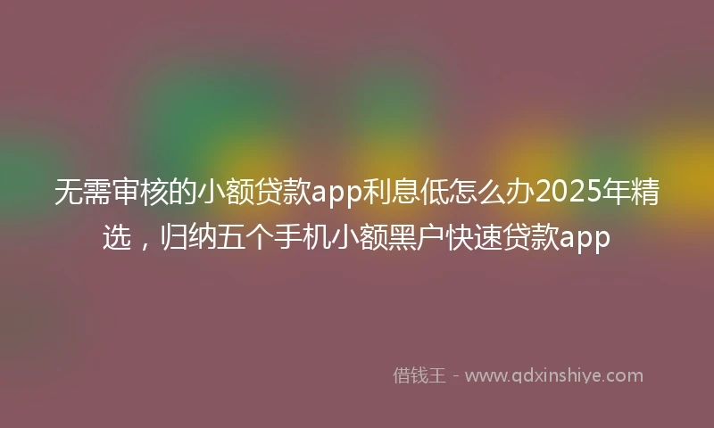 无需审核的小额贷款app利息低怎么办2025年精选，归纳五个手机小额黑户快速贷款app