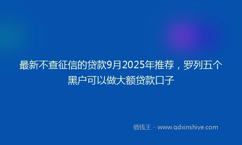 最新不查征信的贷款9月2025年推荐，罗列五个黑户可以做大额贷款口子