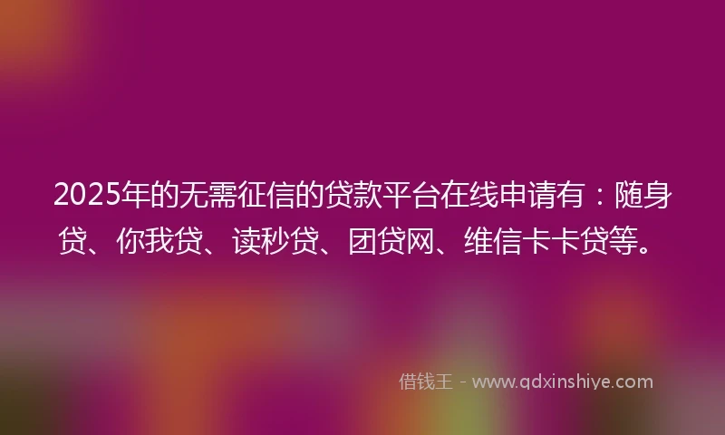 2025年的无需征信的贷款平台在线申请有：随身贷、你我贷、读秒贷、团贷网、维信卡卡贷等。