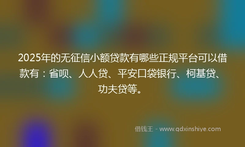 2025年的无征信小额贷款有哪些正规平台可以借款有：省呗、人人贷、平安口袋银行、柯基贷、功夫贷等。