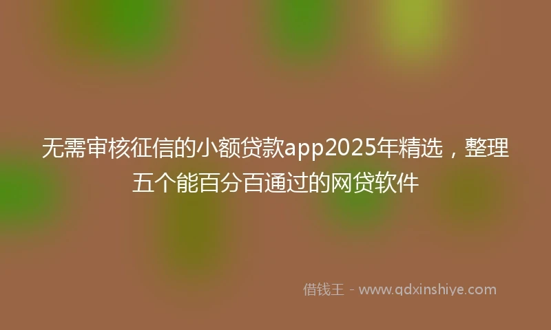 无需审核征信的小额贷款app2025年精选，整理五个能百分百通过的网贷软件