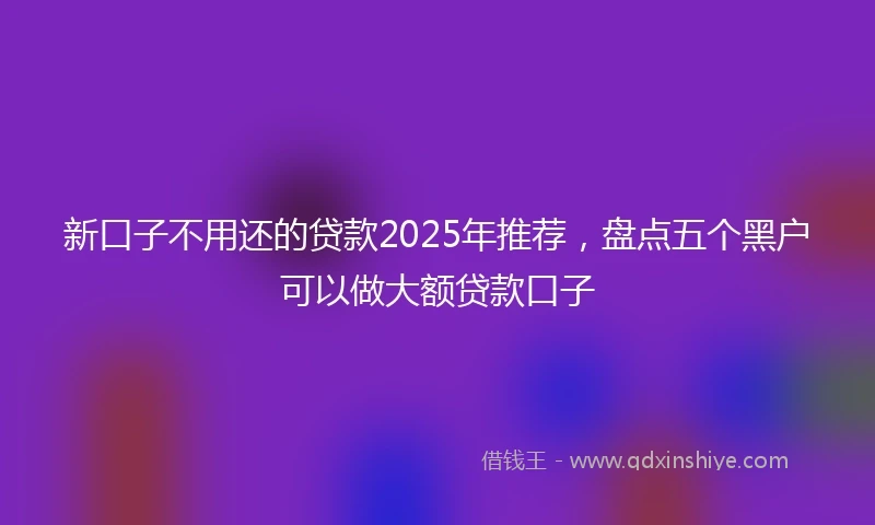 新口子不用还的贷款2025年推荐，盘点五个黑户可以做大额贷款口子