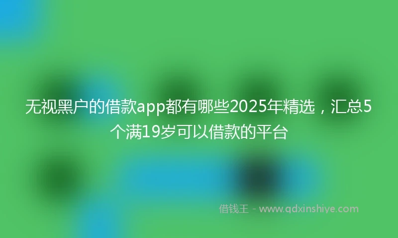 无视黑户的借款app都有哪些2025年精选，汇总5个满19岁可以借款的平台