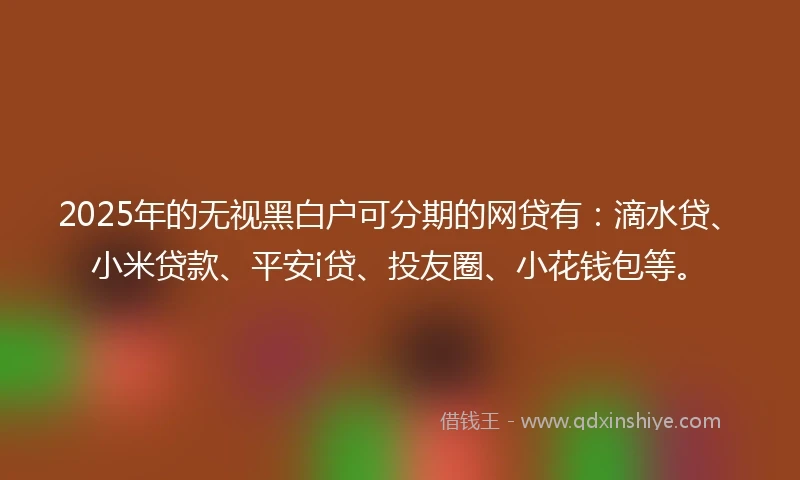 2025年的无视黑白户可分期的网贷有：滴水贷、小米贷款、平安i贷、投友圈、小花钱包等。
