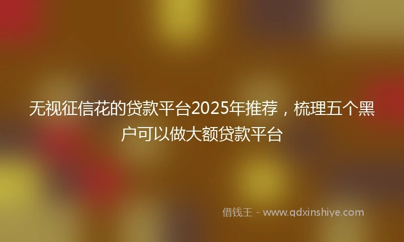 无视征信花的贷款平台2025年推荐，梳理五个黑户可以做大额贷款平台
