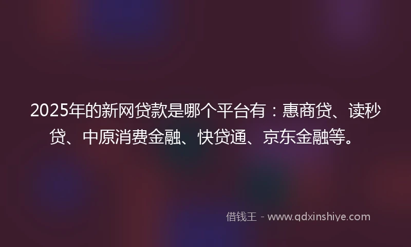 2025年的新网贷款是哪个平台有：惠商贷、读秒贷、中原消费金融、快贷通、京东金融等。