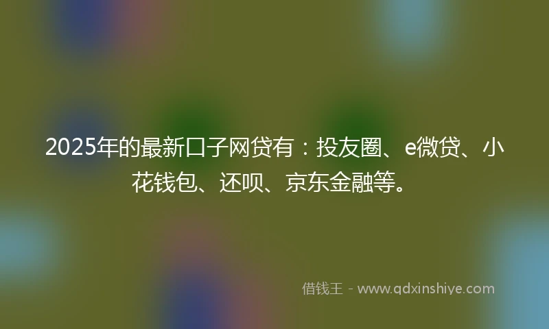 2025年的最新口子网贷有:投友圈、e微贷、小花钱包、还呗、京东金融等。