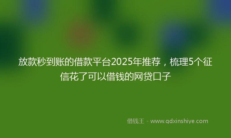 放款秒到账的借款平台2025年推荐，梳理5个征信花了可以借钱的网贷口子