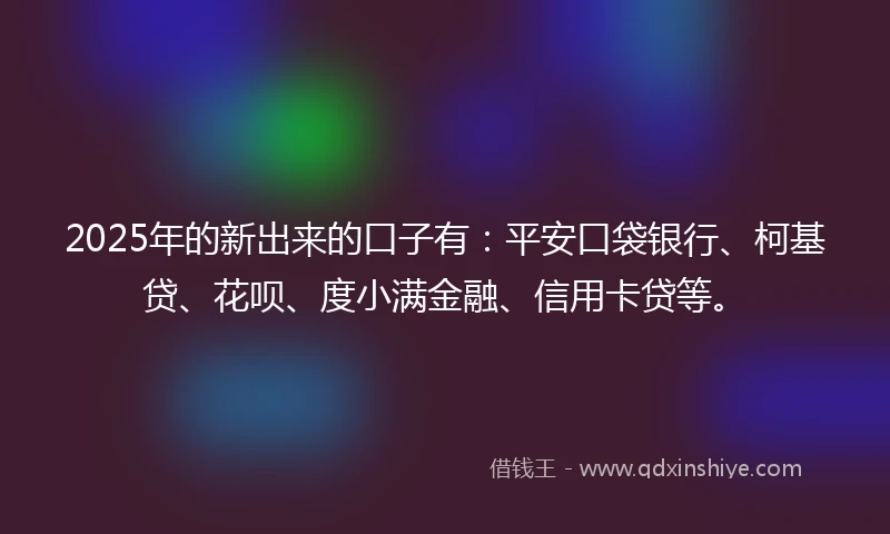 2025年的新出来的口子有：平安口袋银行、柯基贷、花呗、度小满金融、信用卡贷等。