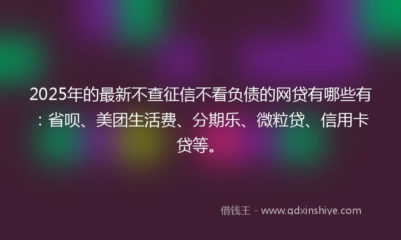2025年的最新不查征信不看负债的网贷有哪些有:省呗、美团生活费、分期乐、微粒贷、信用卡贷等。