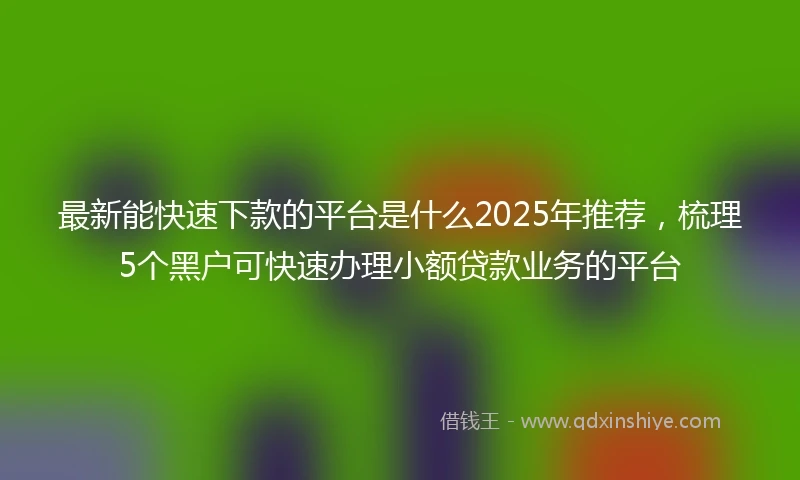 最新能快速下款的平台是什么2025年推荐,梳理5个黑户可快速办理小额贷款业务的平台