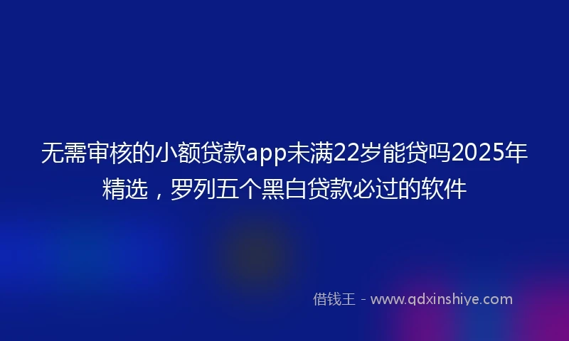 无需审核的小额贷款app未满22岁能贷吗2025年精选，罗列五个黑白贷款必过的软件