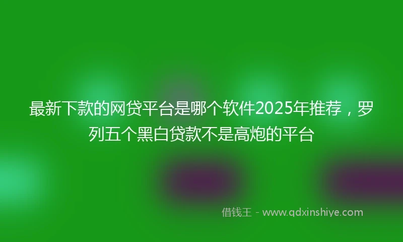 最新下款的网贷平台是哪个软件2025年推荐，罗列五个黑白贷款不是高炮的平台