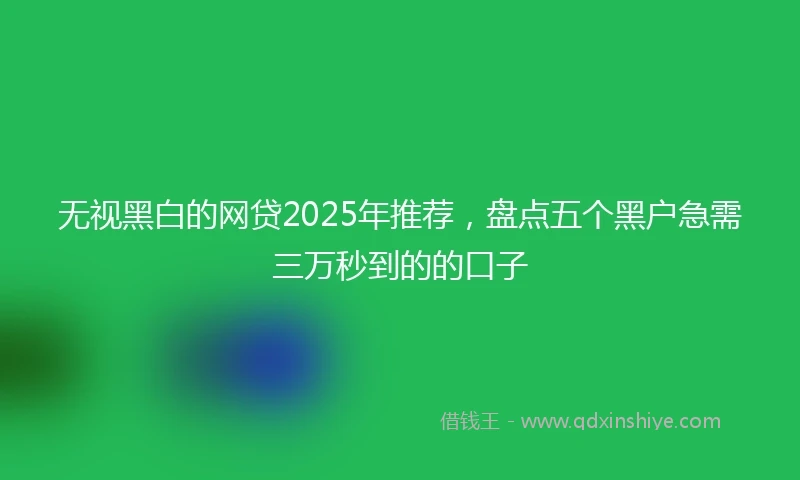 无视黑白的网贷2025年推荐，盘点五个黑户急需三万秒到的的口子