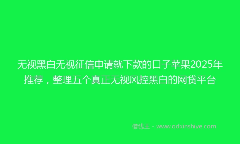 无视黑白无视征信申请就下款的口子苹果2025年推荐，整理五个真正无视风控黑白的网贷平台