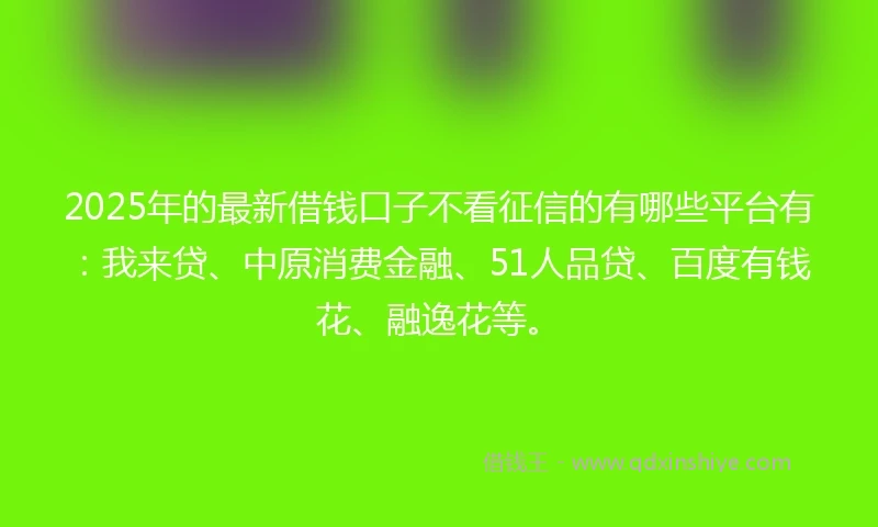 2025年的最新借钱口子不看征信的有哪些平台有：我来贷、中原消费金融、51人品贷、百度有钱花、融逸花等。