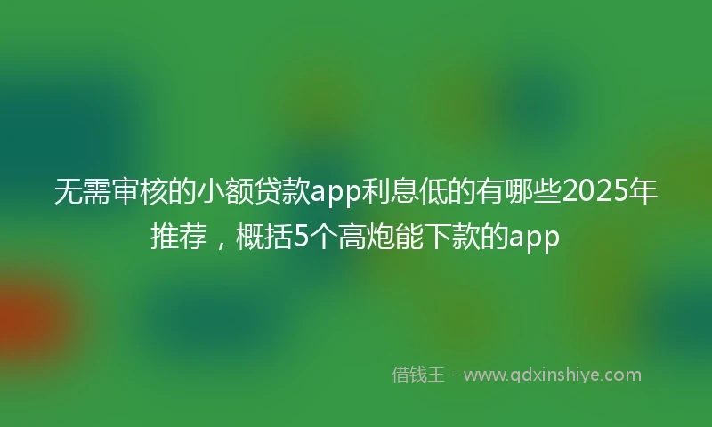 无需审核的小额贷款app利息低的有哪些2025年推荐，概括5个高炮能下款的app