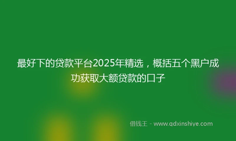 最好下的贷款平台2025年精选，概括五个黑户成功获取大额贷款的口子