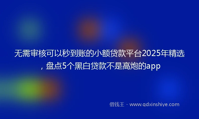 无需审核可以秒到账的小额贷款平台2025年精选，盘点5个黑白贷款不是高炮的app