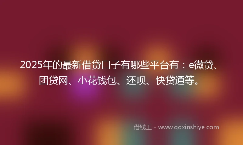 2025年的最新借贷口子有哪些平台有：e微贷、团贷网、小花钱包、还呗、快贷通等。
