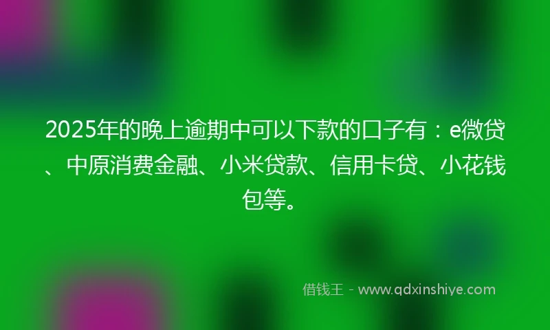 2025年的晚上逾期中可以下款的口子有：e微贷、中原消费金融、小米贷款、信用卡贷、小花钱包等。