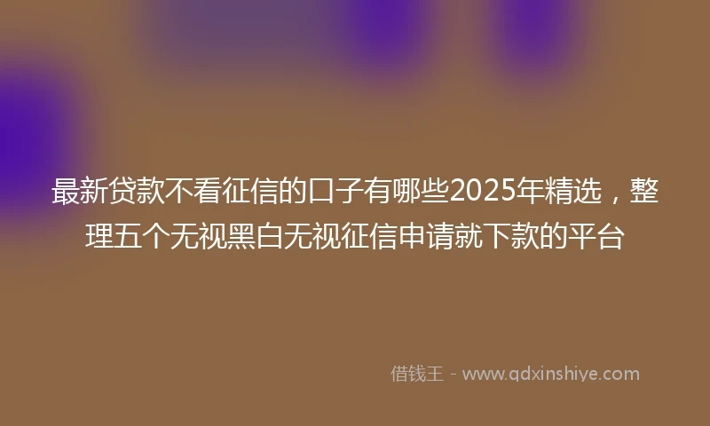 最新贷款不看征信的口子有哪些2025年精选，整理五个无视黑白无视征信申请就下款的平台