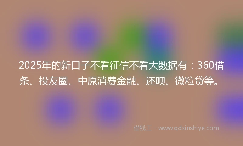 2025年的新口子不看征信不看大数据有：360借条、投友圈、中原消费金融、还呗、微粒贷等。