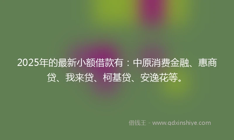 2025年的最新小额借款有：中原消费金融、惠商贷、我来贷、柯基贷、安逸花等。
