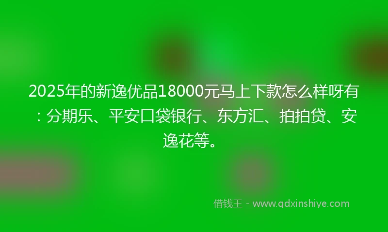 2025年的新逸优品18000元马上下款怎么样呀有：分期乐、平安口袋银行、东方汇、拍拍贷、安逸花等。
