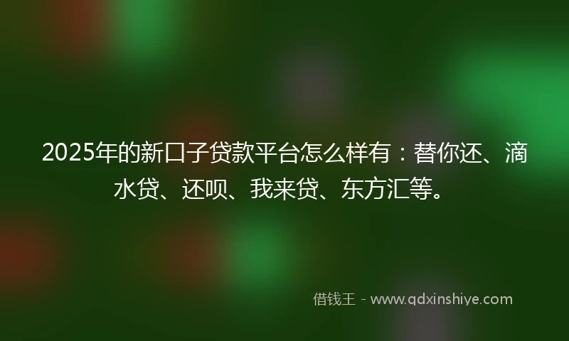 2025年的新口子贷款平台怎么样有：替你还、滴水贷、还呗、我来贷、东方汇等。